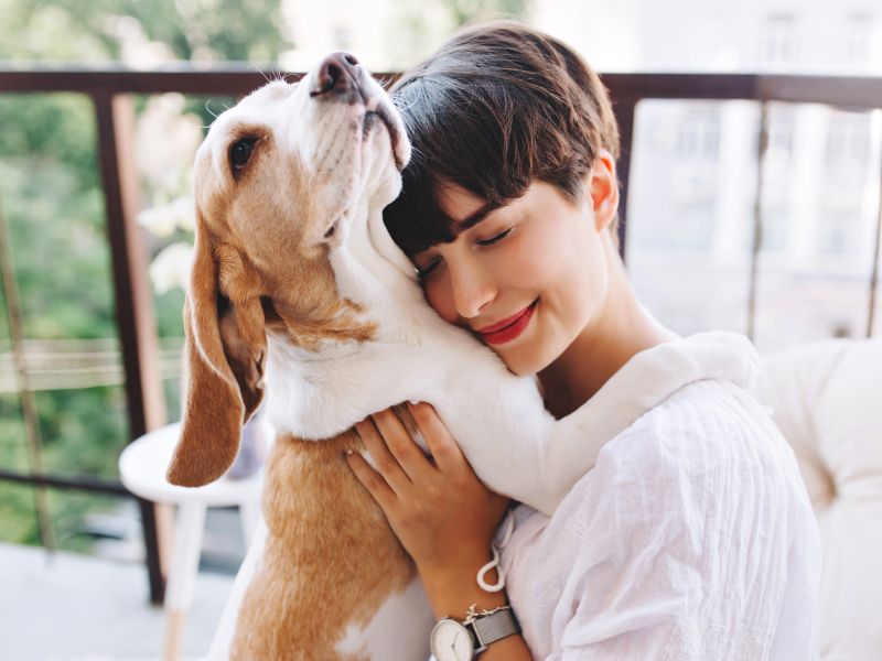 pet_800x600